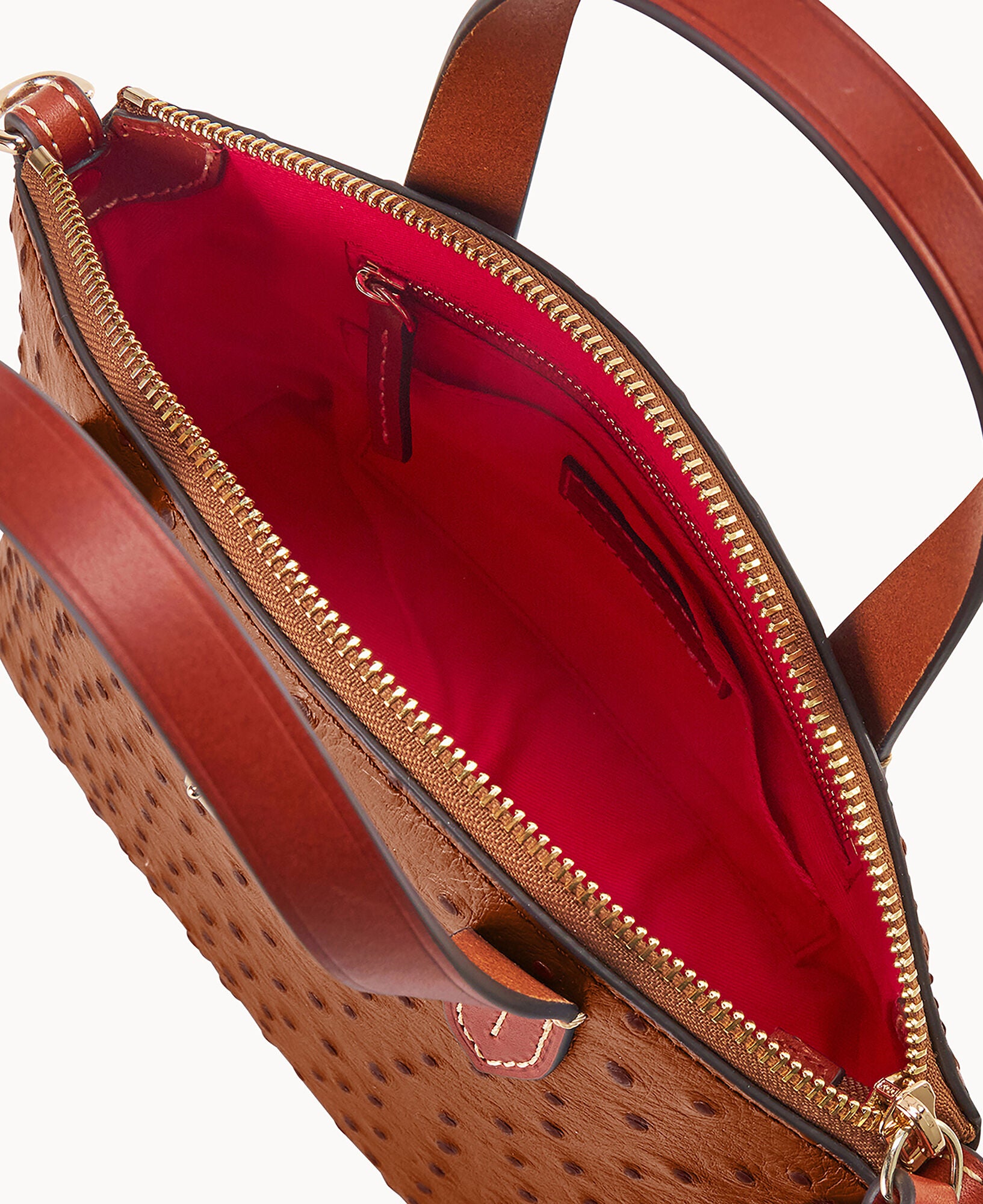 Ostrich Ruby - Image 11